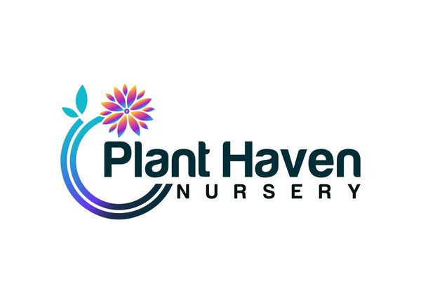 Plant Haven Nursery